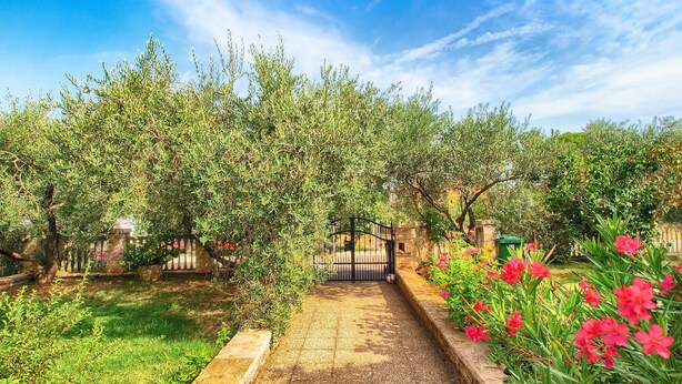 A garden pathway leading to a gated entrance, surrounded by lush greenery and flowering plants. - Apartment 442/1014 (Istria - Valbandon), 850m from the beach (Valbandon)