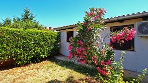 Property grounds - Apartment 534/1277 (Istria - Stinjan), 500m from the beach (Stinjan)