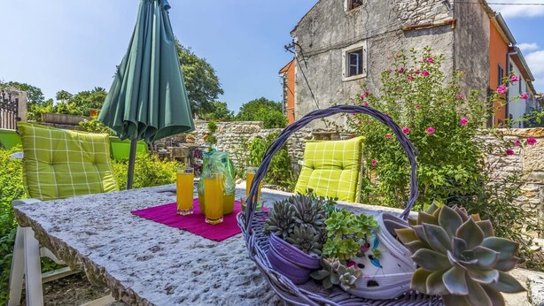 A table set outdoors with a green umbrella, two glasses of orange juice, and a wicker basket with succulents. - House 561/1347 (Istria - Rakalj), 2500m from the beach (Rakalj)