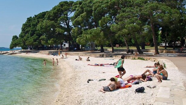 A beach with clear water, people sunbathing, and trees along the shore. - Apartment 590/1429 (Istria - Valbandon), 1000m from the beach (Valbandon)
