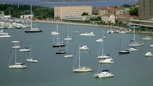 A marina with numerous sailboats docked.