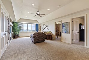 TV, fireplace, video games, DVD player