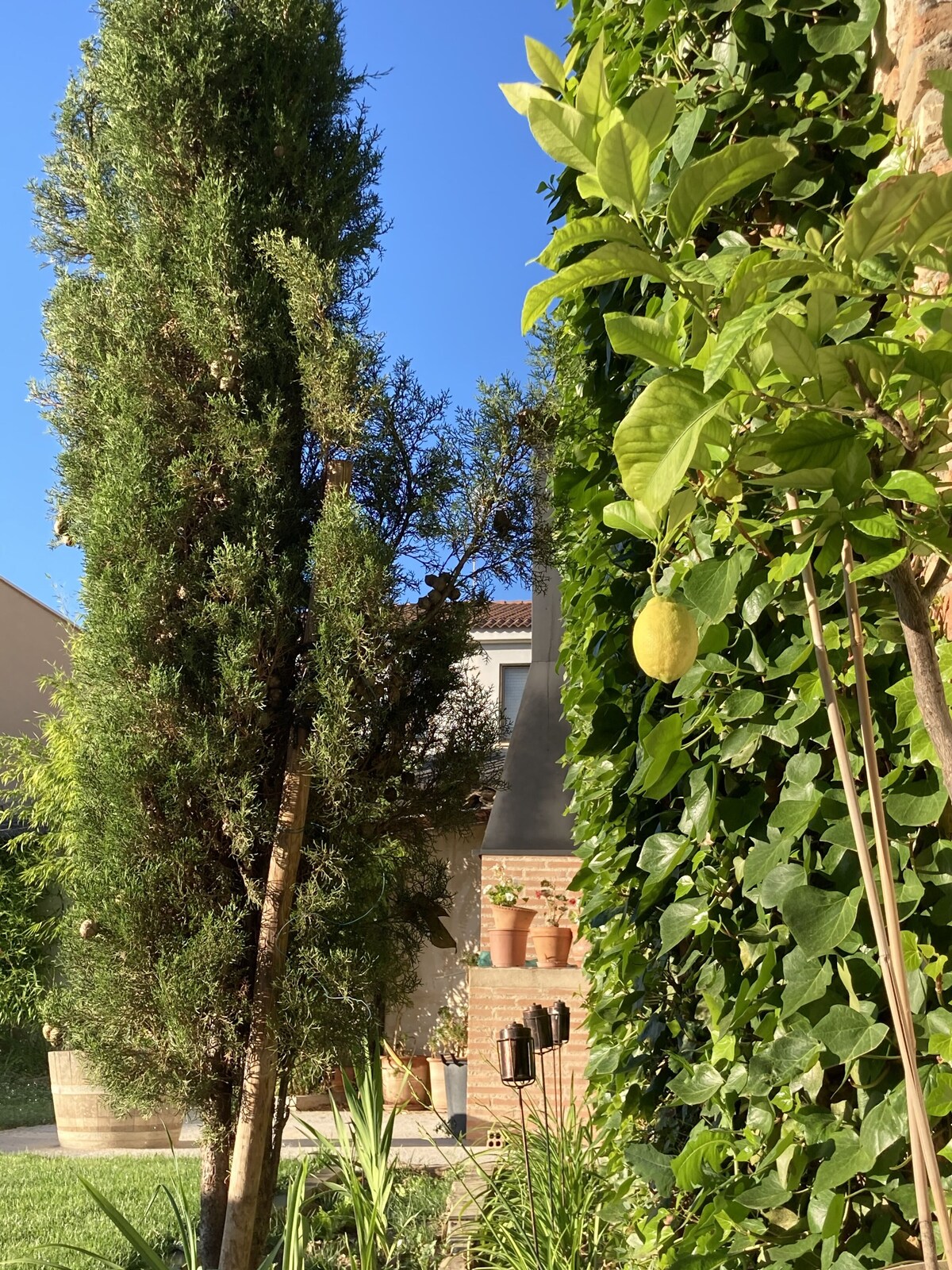 Parco della struttura