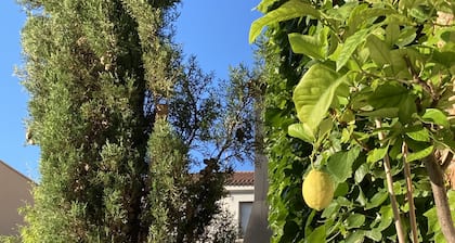 La Ren Lecrés Apartamento Ribera del Duero