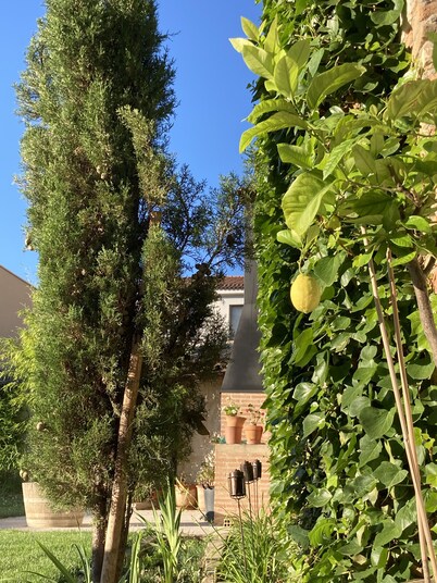 La Ren Lecrés Apartment Ribera del Duero
