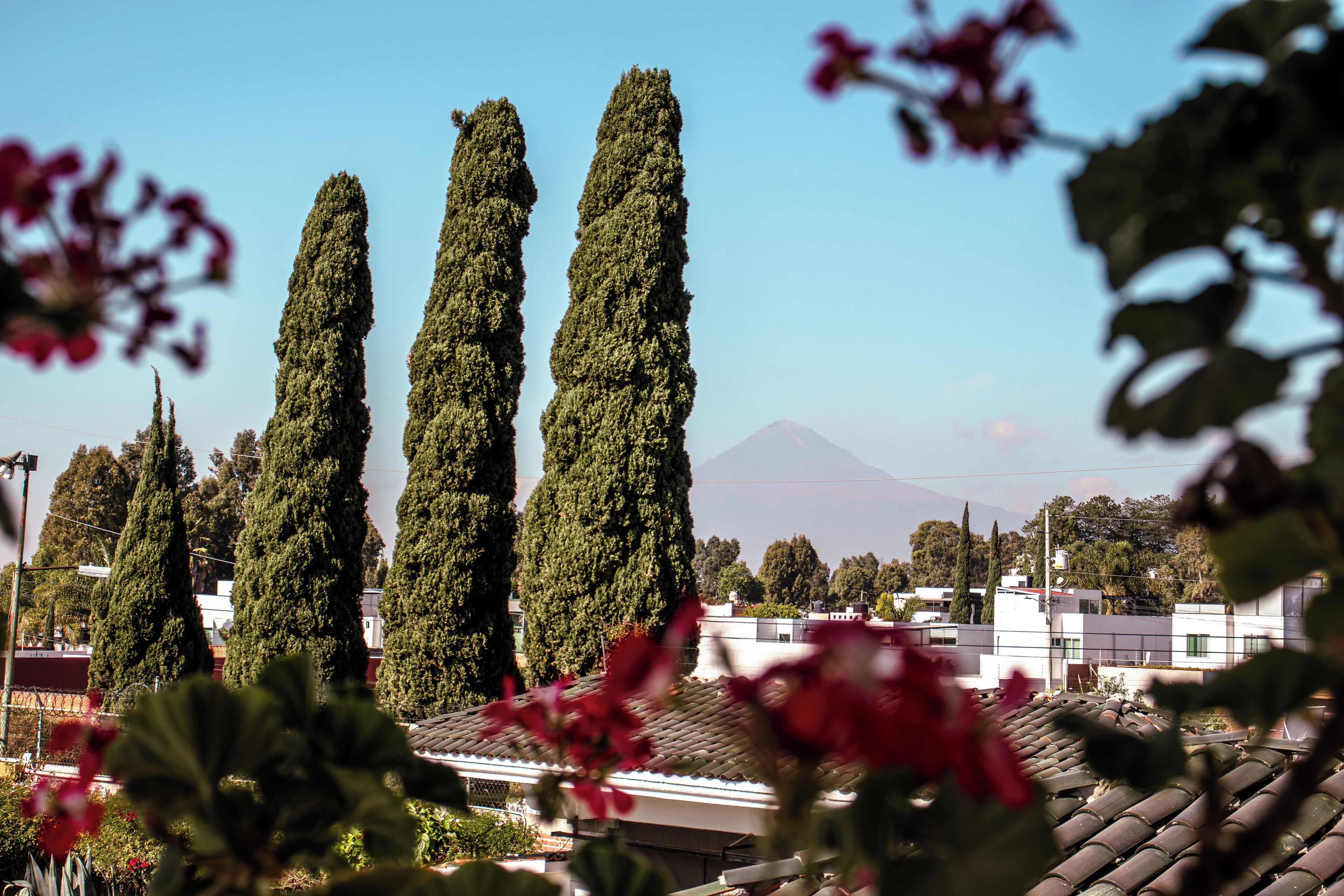 superior room, 1 king bed | 1 bedroom, premium bedding, down duvets, minibar