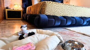 Comodidades para pets