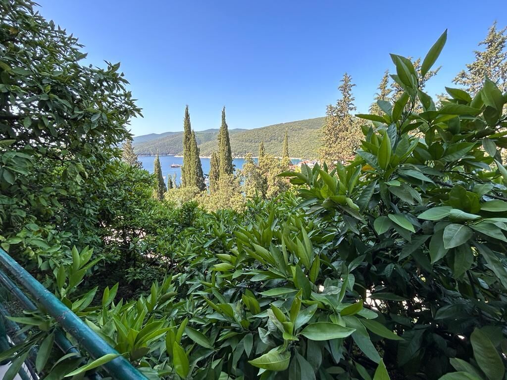 A lush garden with dense foliage and a view of a lake and distant hills.