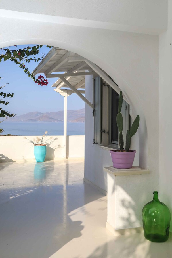 A balcony with a white railing, a potted cactus, and a green bottle.