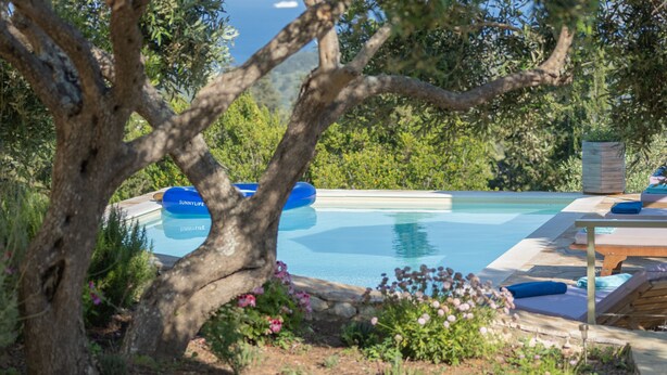 Un espace aménagé au bord de la piscine, avec une table dressée pour les repas, entouré de chaises longues et d’un grand arbre.