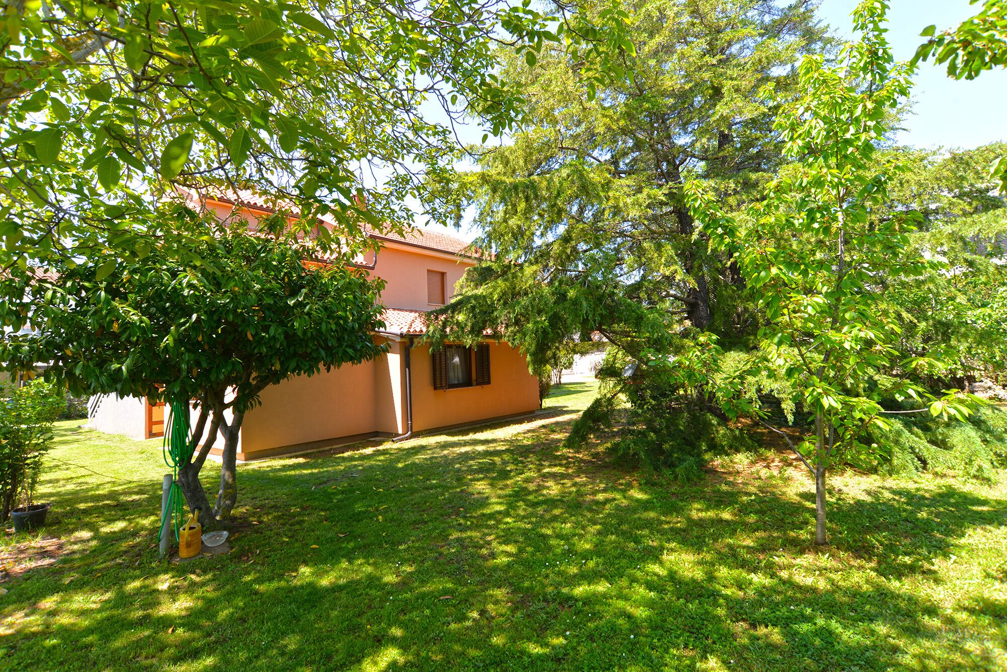 A house with a red roof and a small garden with grass and trees.