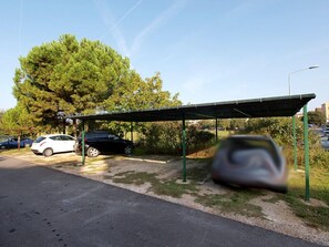 Park under the shade of a lush green canopy, surrounded by a large tree and serene greenery.