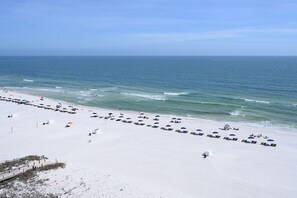 A beach with rows of sun loungers and umbrellas, a sandy shore, and the ocean in the background. - Luxury Beachfront 4BR/4BA Condo Sleeps 13 with Stunning Views and Large Balcony (Orange Beach)