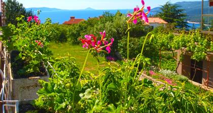 Apartment 757/1764 (Istria - Rabac), 800m from the beach