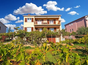 A two-story building with a balcony, surrounded by a vineyard.