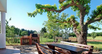 Apartment 777/1813 (Istria - Fažana), 500m from the beach