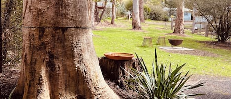 A large tree with a thick trunk, a small garden area with a wooden planter, and a grassy lawn.