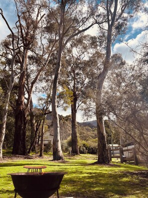 A grassy outdoor area with trees and a metal barrel. - Manuka Retreat, Free unlimited WIFI.... (Halls Gap)