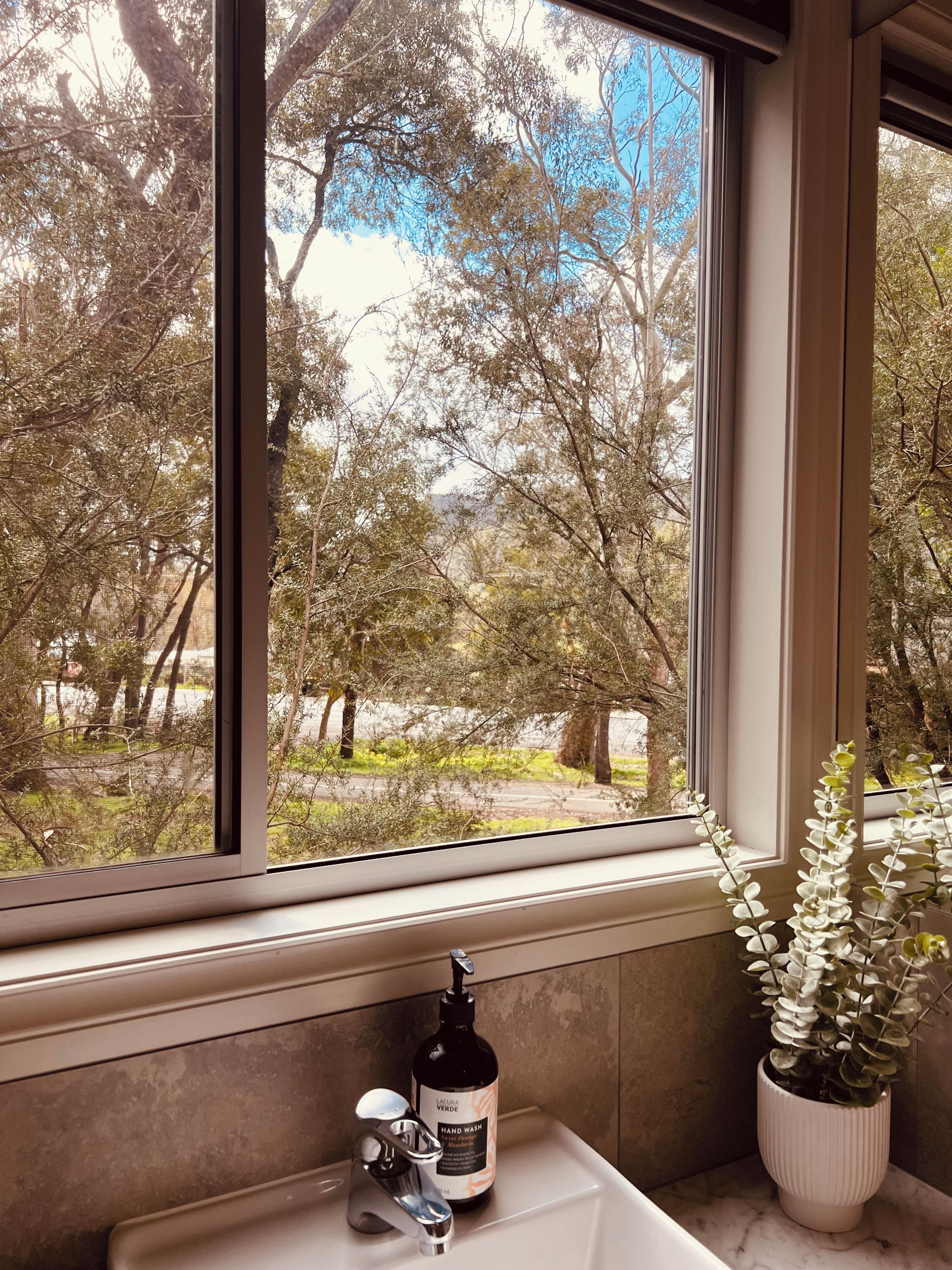 A bathroom with a window, a sink, a faucet, a bottle of hand wash soap, and a potted plant.