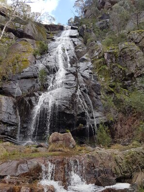 A waterfall cascading down a rocky cliff surrounded by greenery. - Manuka Retreat, Free unlimited WIFI.... (Halls Gap)
