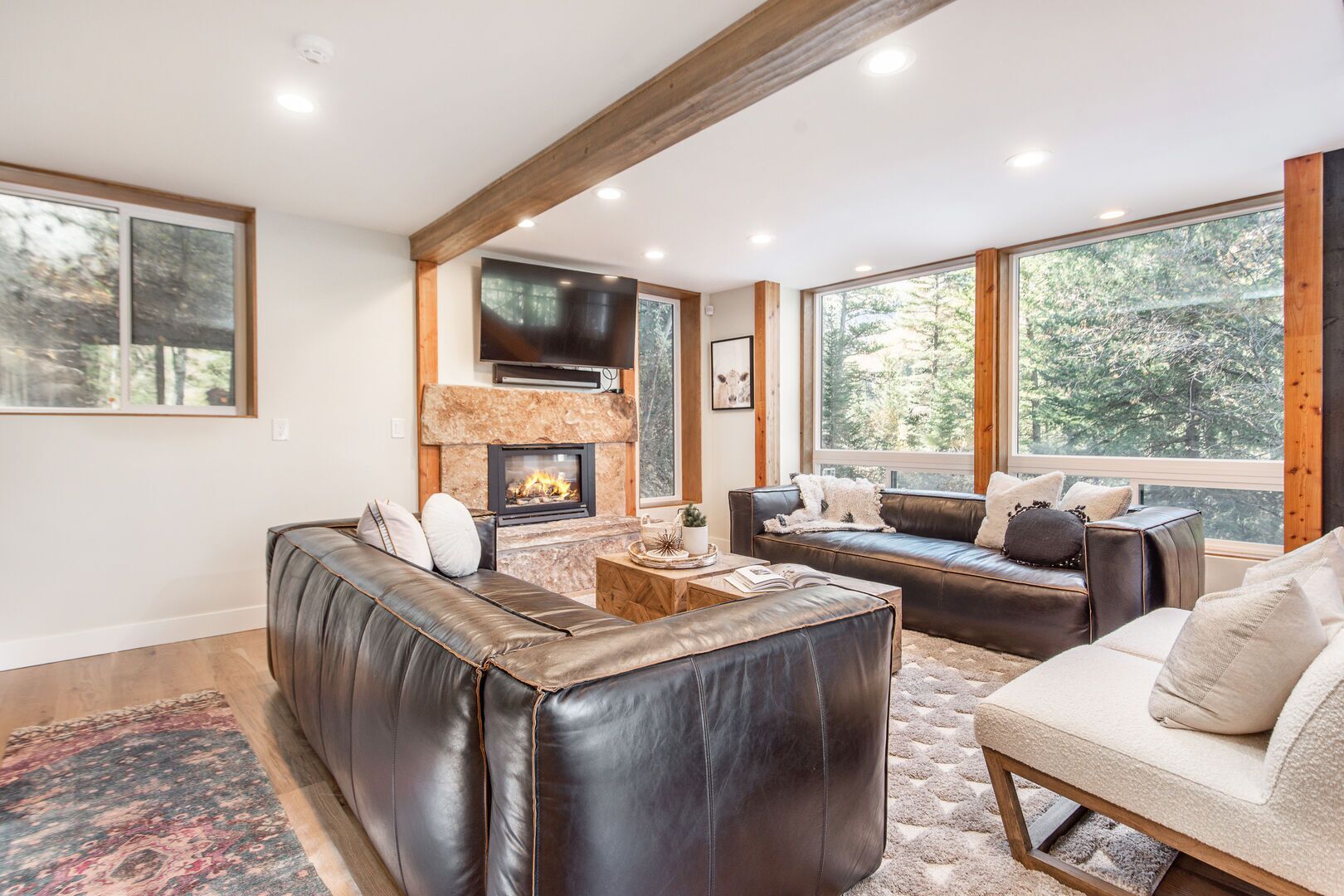 Televisión, chimenea, reproductor de DVD y estéreo 