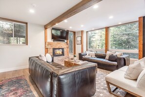 Televisión, chimenea, reproductor de DVD y estéreo 