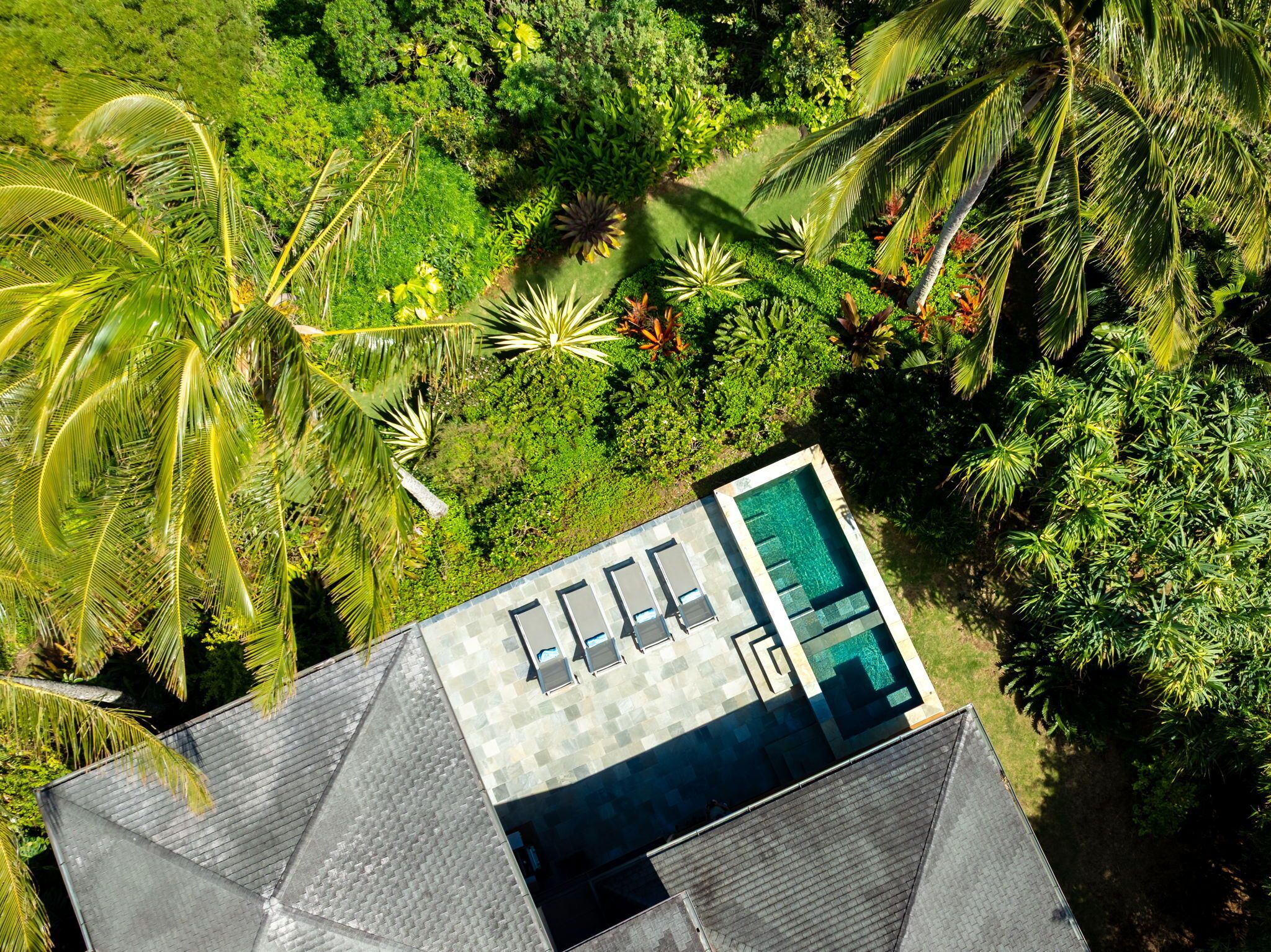An aerial view of a house with a swimming pool surrounded by lush tropical vegetation.