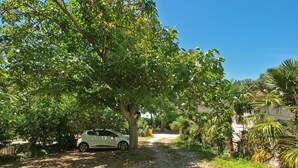 Un chemin pavé mène à une voiture blanche garée sous un grand arbre.