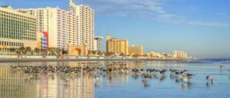 海灘、躺椅、沙灘巾