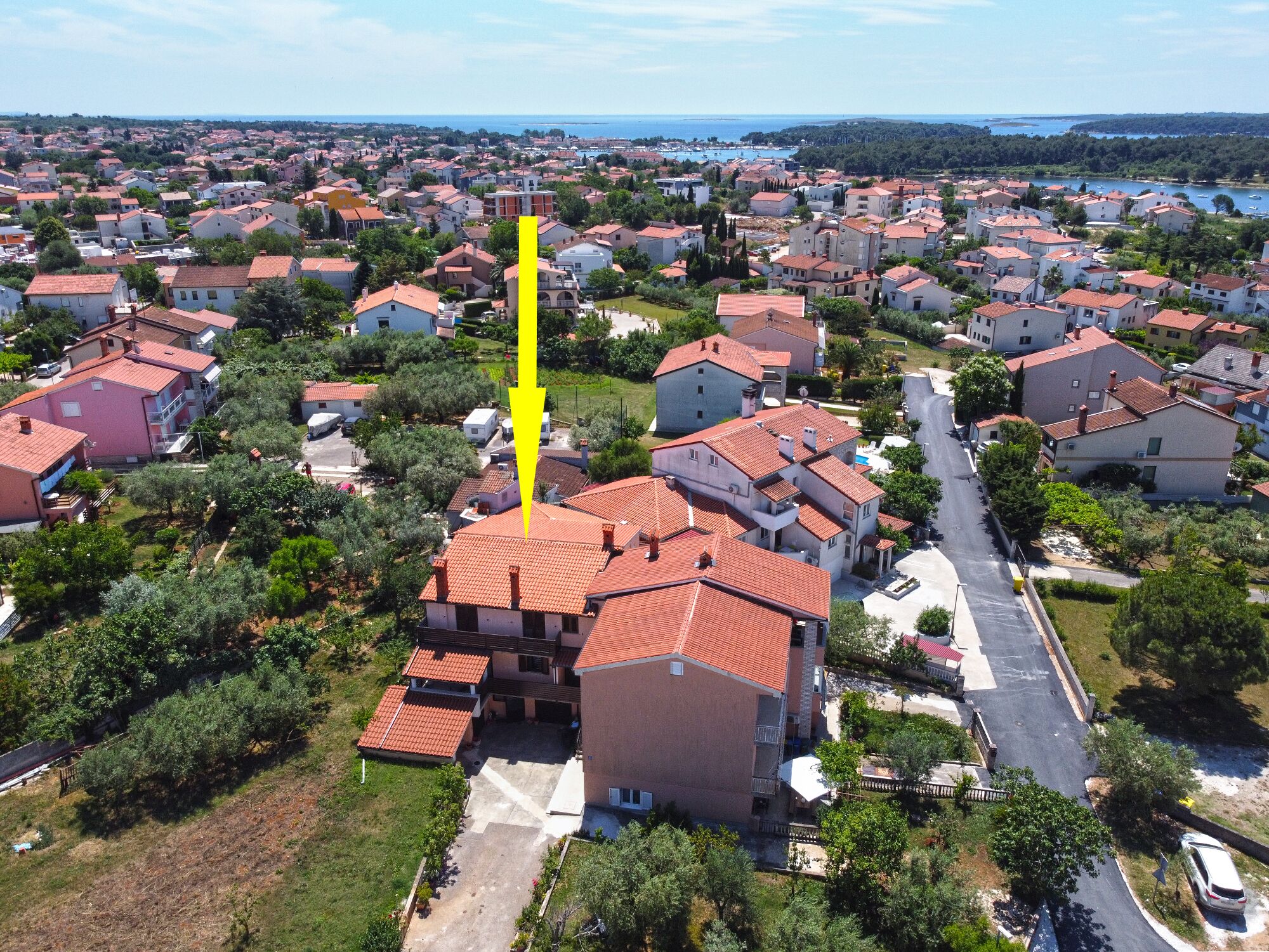 Aerial view