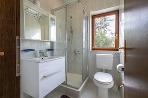A modern bathroom with a glass-enclosed shower, a toilet, and a sink with a mirror above.