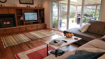 TV connectée, cheminée, livres, chaîne hi-fi