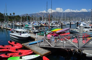 Marina