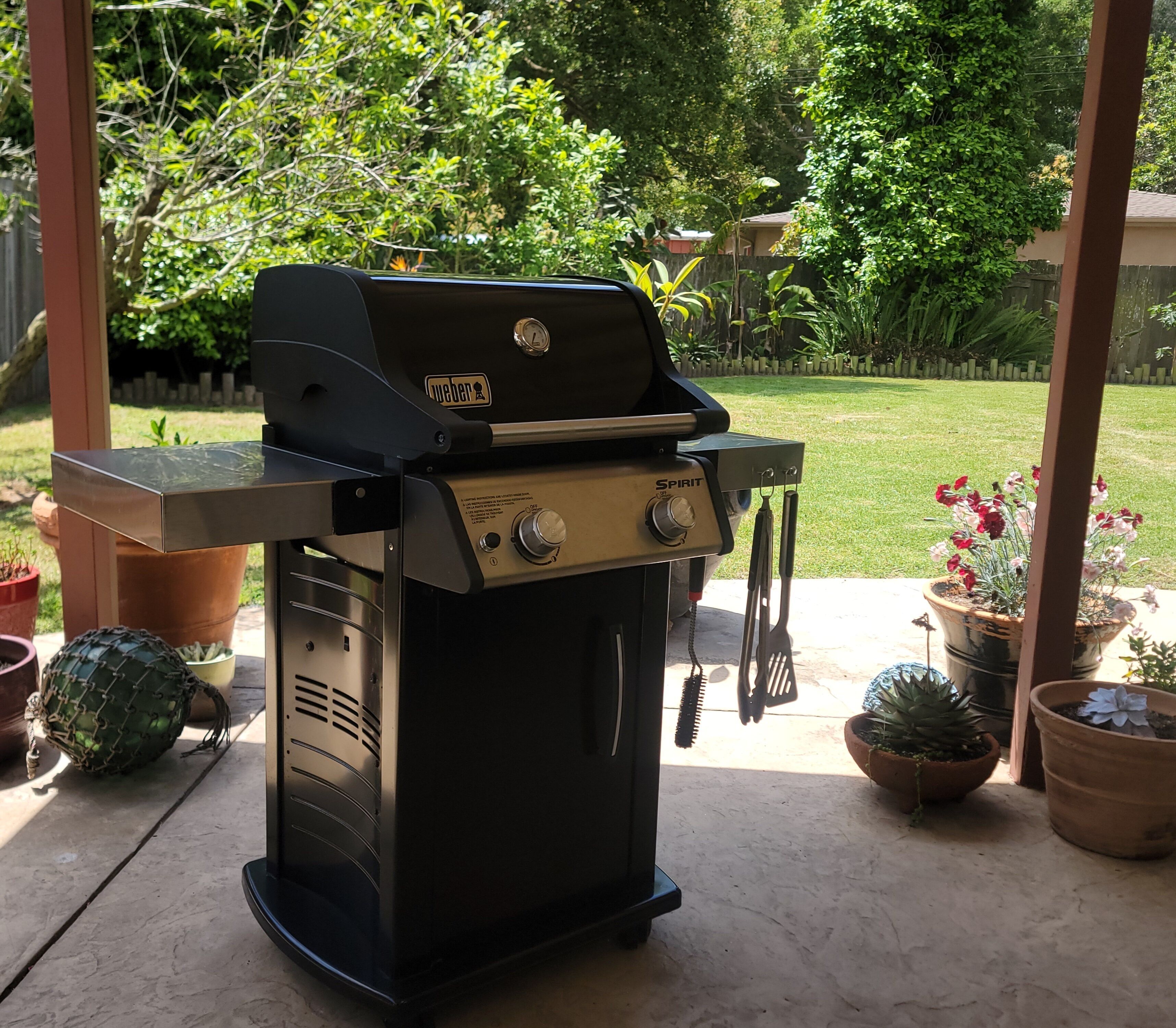 A Weber Spirit gas grill with a digital display, placed on a concrete patio with potted plants and a wooden fence in the background.