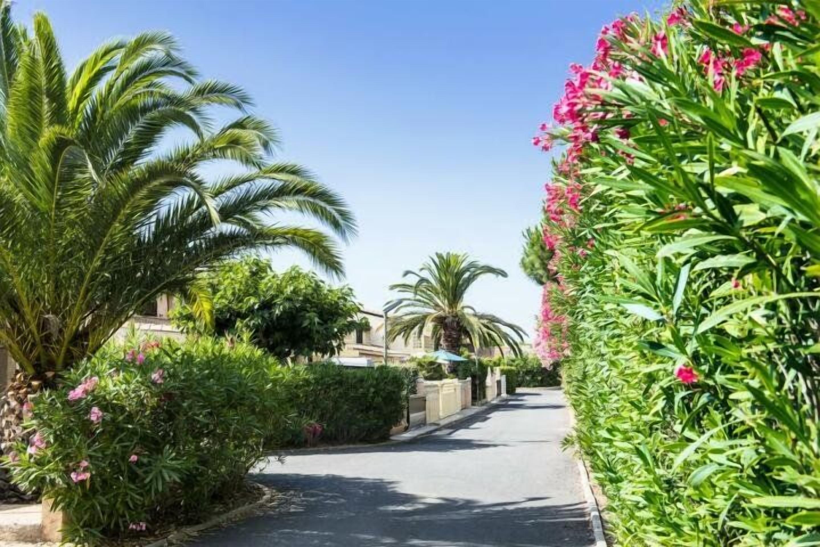 A residential street lined with lush greenery and flowering plants.