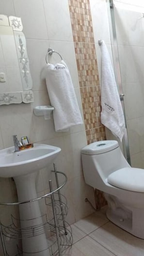 Suihku, ilmaiset hygieniatuotteet, bidee, pyyhkeet
