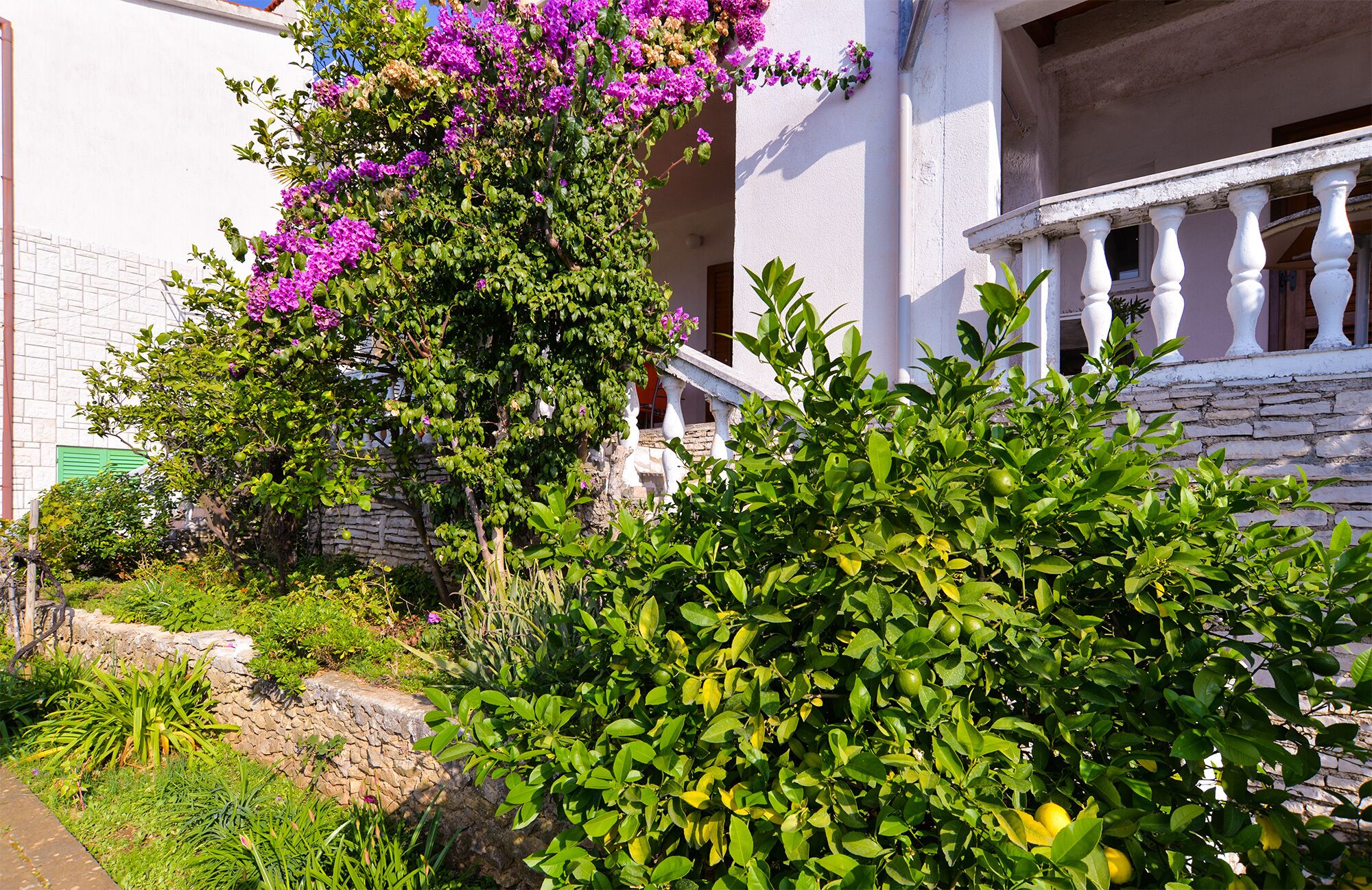 A building with a stone wall, a balcony with white balustrades, and a garden with green shrubs and purple flowers.