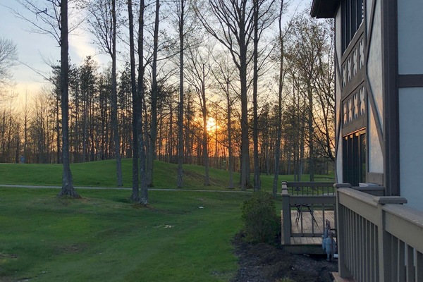 Terrain de l’hébergement