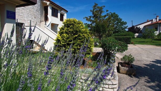 A building with a stone facade, a staircase, and a garden with lavender plants.