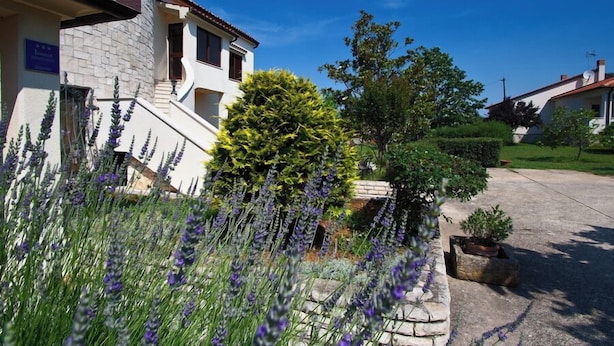 Un edificio con fachada de piedra, una escalera y un jardín con plantas de lavanda.