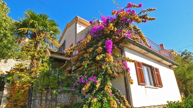 Una casa de dos pisos con fachada de piedra, un balcón y enredaderas florecientes.