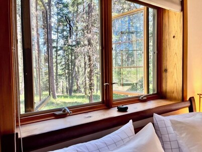 Mt Ashland Homestead, Ashland 10m, 40 ridgetop acres old forest, right by PCT