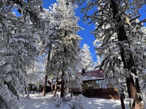 Property grounds - Mt Ashland Homestead, Ashland 10m, 40 ridgetop acres old forest, right by PCT (Ashland)