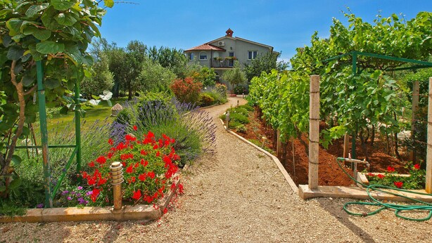 A garden path leading to a house with a balcony, surrounded by various plants and flowers.