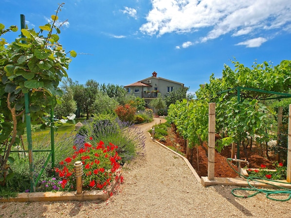Enceinte de l’hébergement