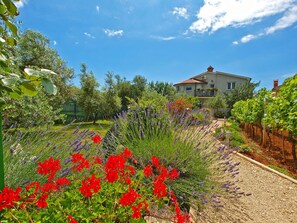 Property grounds - Apartment 1002/3284 (Istria - Fažana), 900m from the beach (Fažana)