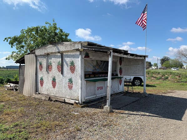 A small, rustic food truck with a strawberry-themed exterior, an American flag, and a 'OPEN' sign.