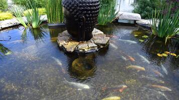 A koi pond with a decorative black structure in the center, surrounded by clear water and various aquatic plants.