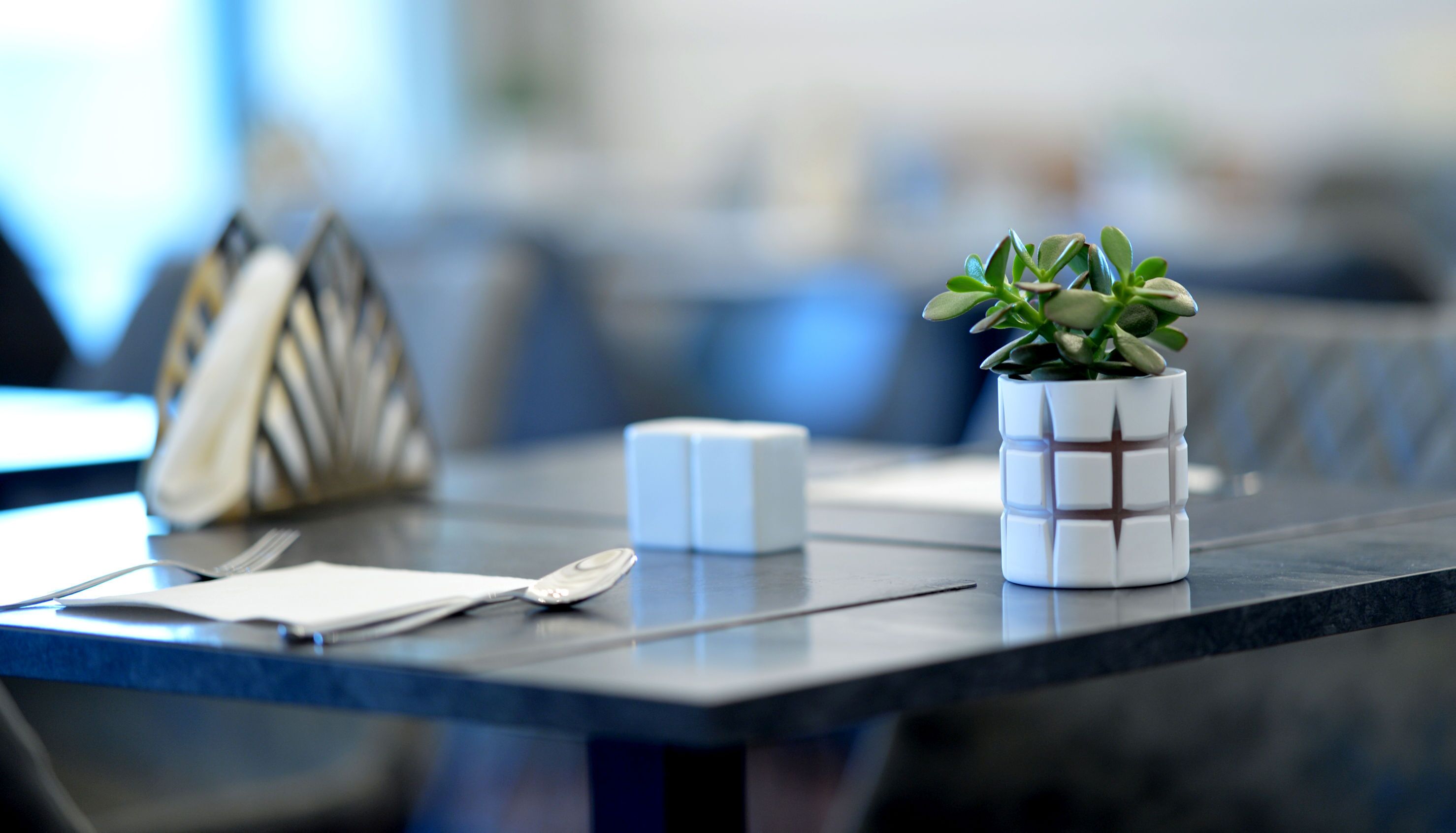 Uma mesa com uma pequena planta em vaso, um objeto branco e uma bolsa.