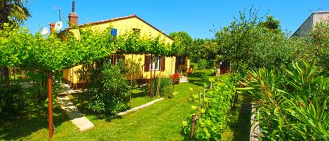 2 habitaciones y internet